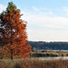 Fall colors at Lake Crabtree