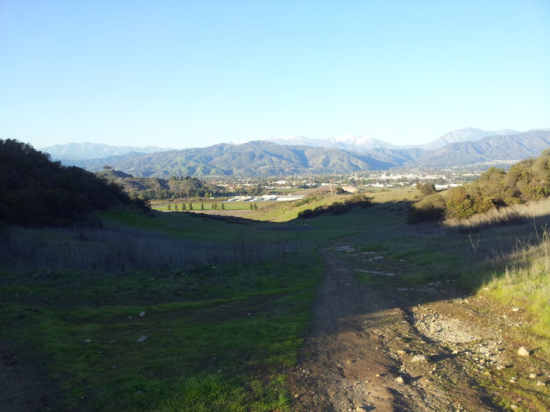 Bonelli Trail