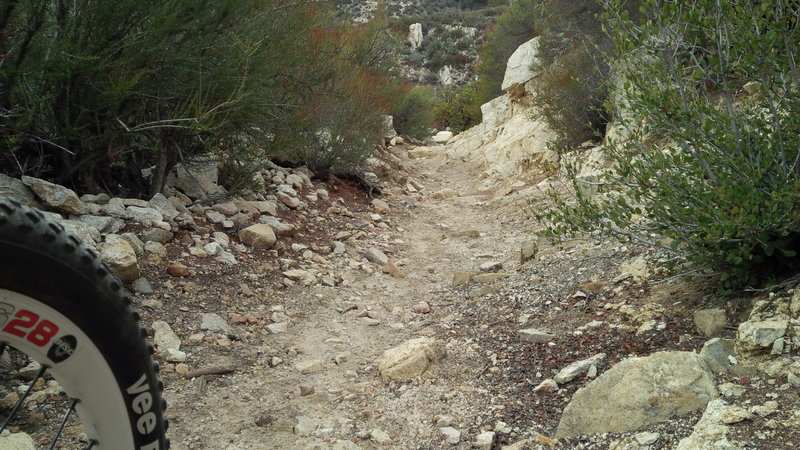 Mt Hillyer Loop