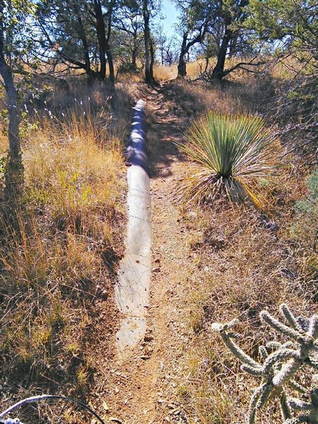 Section of the Stetson pipeline- on the AZ Trail
