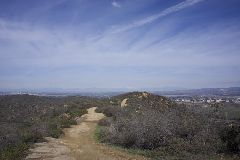 Serrano Ridge Trail at Laguna Coast Wilderness Park