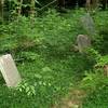 Family burial plot on Braley Hill Rd, near the North end of the Creek Trail (B6).