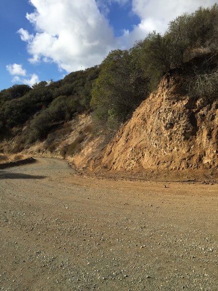Skyline Drive Trail