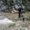 Lots of stream crossings on the way up Gabrielino Trail. It's a challenge not to fall in at least once!