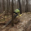 Oops - on Lookout Trail
