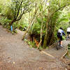 At the northern end of the Tongariro River Trail