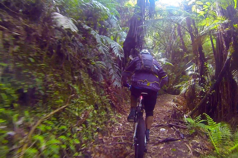 Climbing up the K2K mountain bike trail from Kawakawa Bay