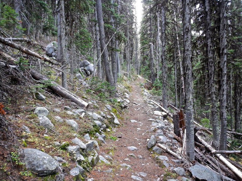Kettle Crest Trail 13 (Stickpin to Jungle Hill)