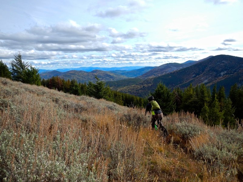 Jungle Hill Trail