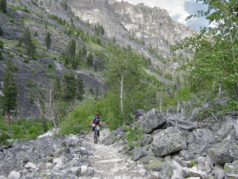 Blodgett Canyon Mountain Bike Trail, Hamilton, Montana