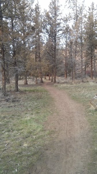 Dry Canyon Trail