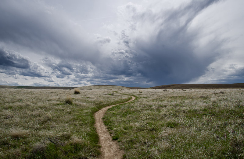 A Trail