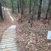 Progressive wood jumps on Ft Benning MTB Trail