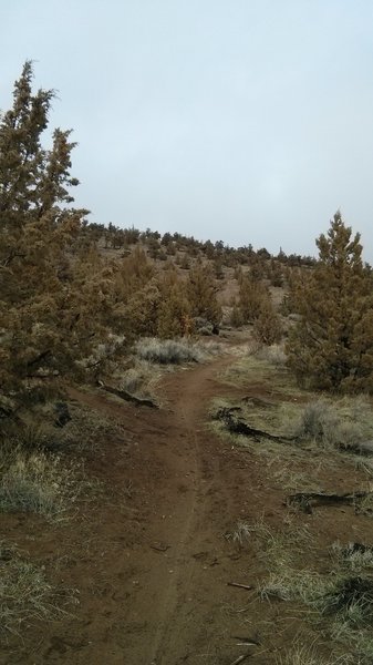 Cline Butte #3 Downhill