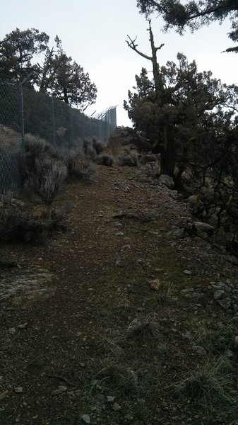 Fence-line at the radio facility.