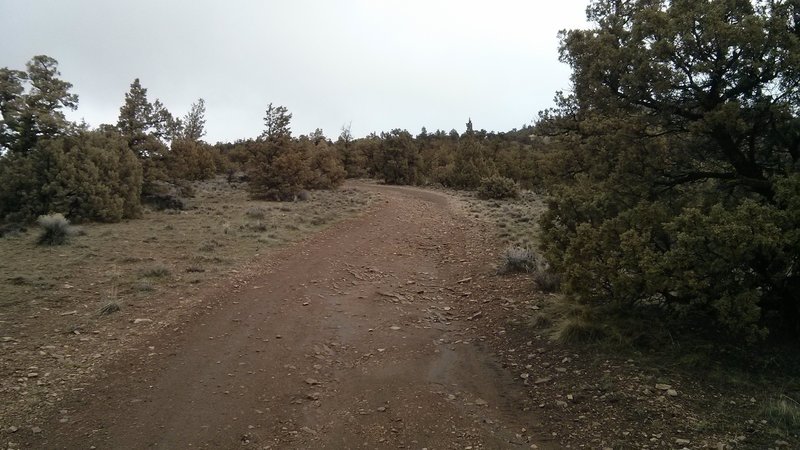 Cline Butte