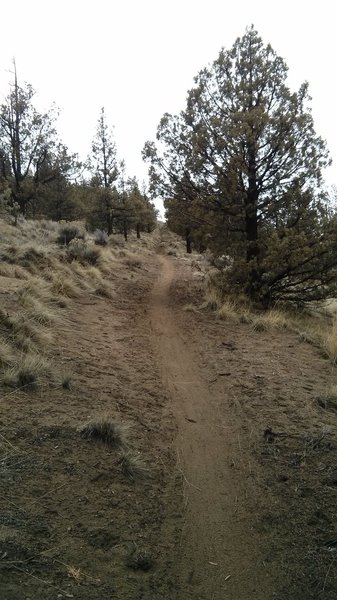 Endless climbing on Cline Butte