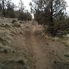 Endless climbing on Cline Butte