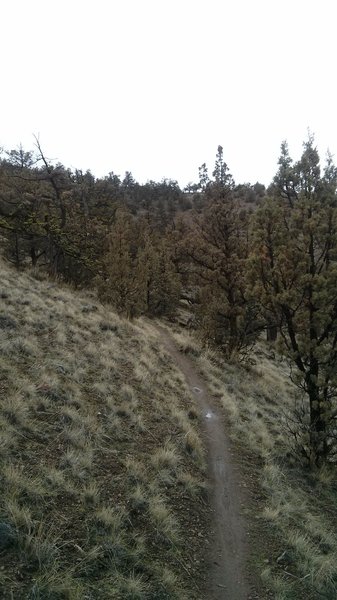 Not a lot of room for mistakes on this singletrack.