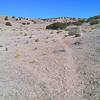 Trailhead at 5200 feet is one of the lowest in the Albuquerque area