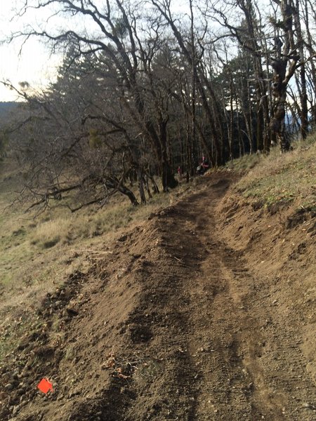 Rippin downhill section 3