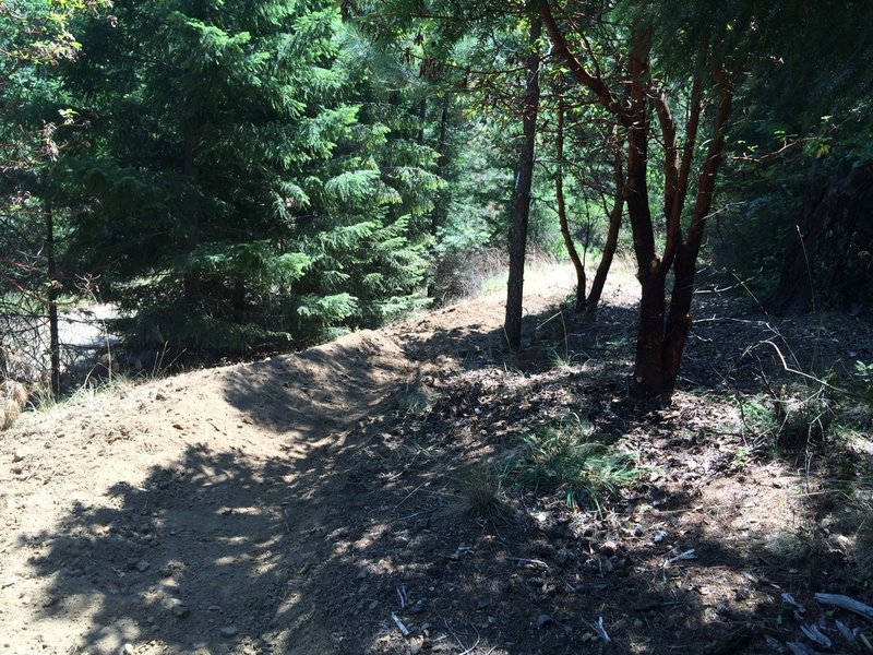 Pine Ridge Trail