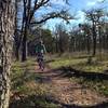 Along the Britt Canyon trail
