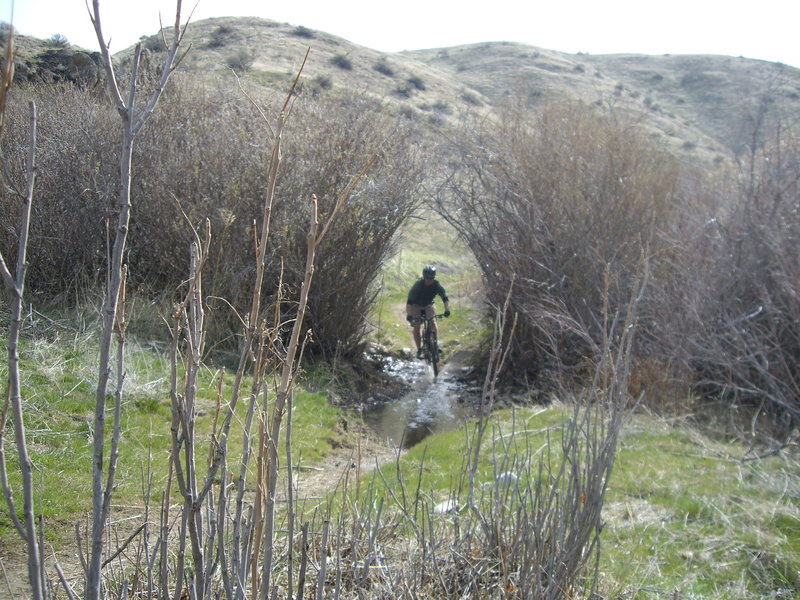 Spring Creek crossing