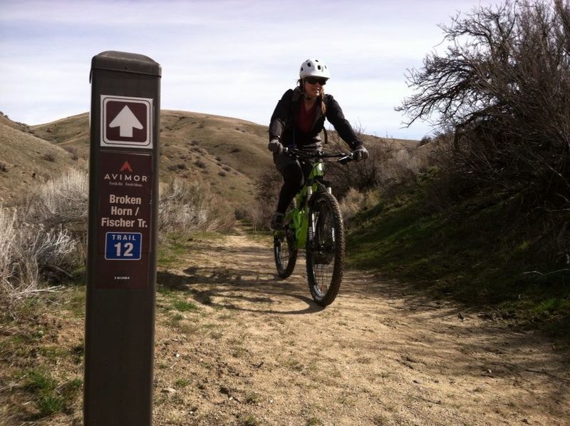 coyote mountain bike