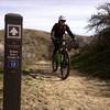 Trail junction
