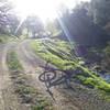 Not bad for a 'road' ride. Pierce Canyon Climb