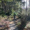 Dobbin House trail