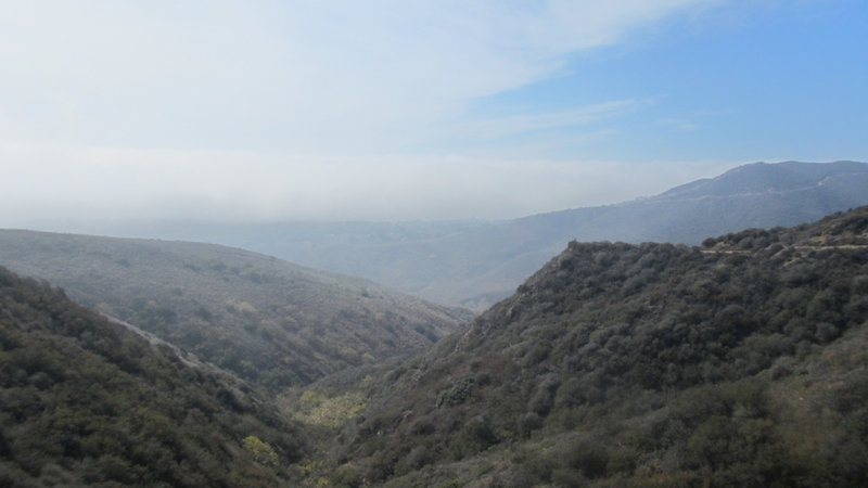 Zuma Loop