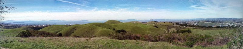 Crockett Hills