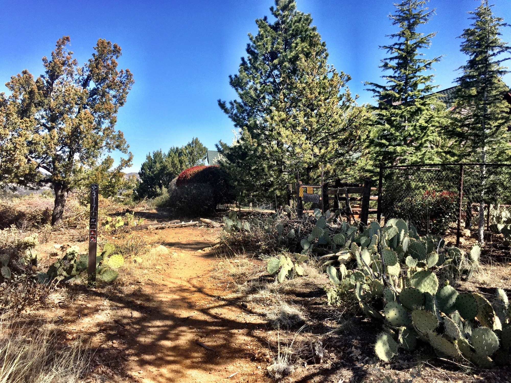 The end of Trail 317 at the Foothills Subdivision