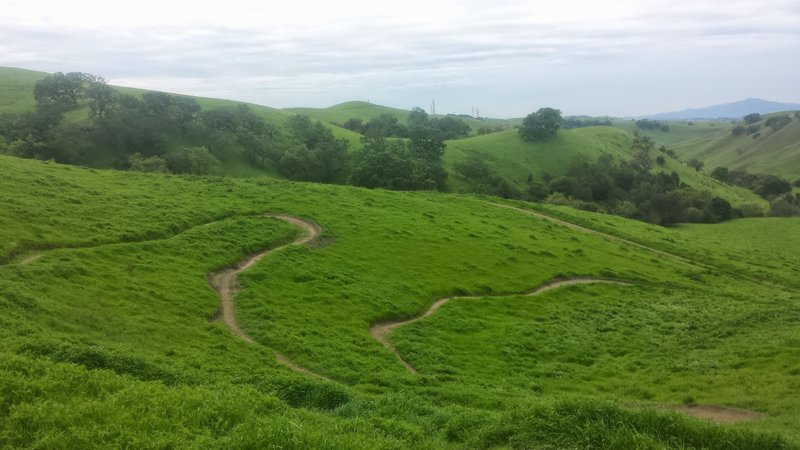 Not a straight section to be found on Unfinished Business
