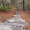 Granite is always popping up at Clinton.  On the Granite Loop Trail