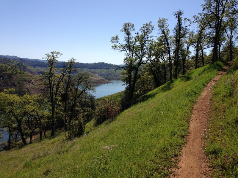 Tower Climb Trail