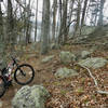Butler Pass Trail