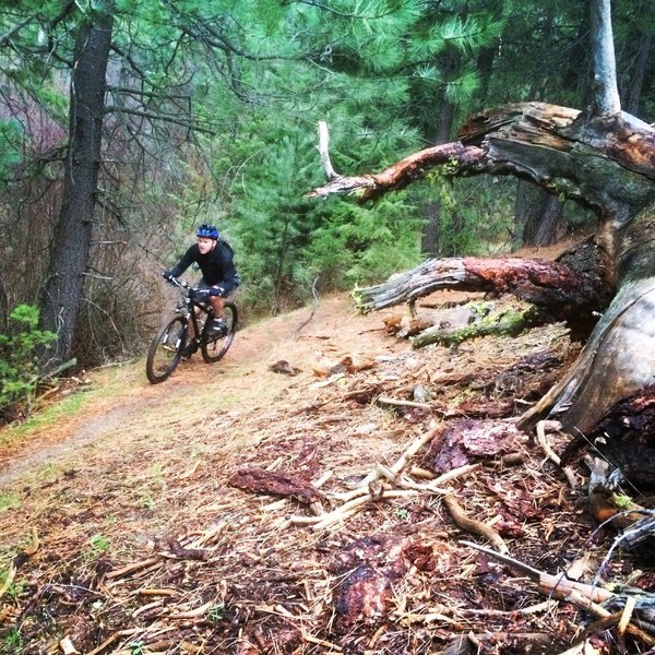 dry creek bike trail
