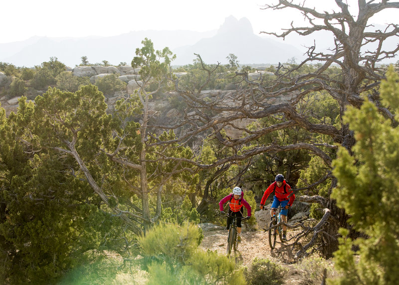 gooseberry mesa mountain biking