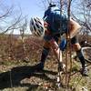 Maintenance can be tough in the backcountry, but Virginia's riders band together for a statewide trail work day on the Virginia Mountain Bike Trail in early April each year