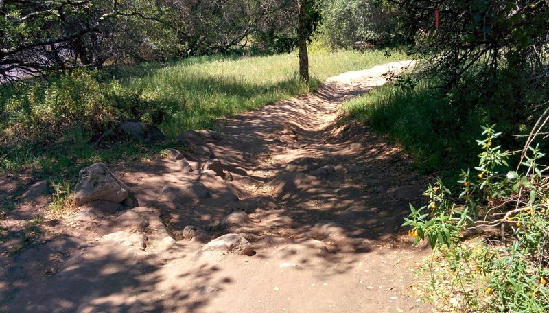 One of the rock gardens on the Granite Bay Trail.