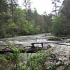 Awesome View of the Cartecay River.