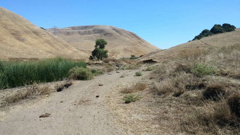 Lynch Canyon Loop