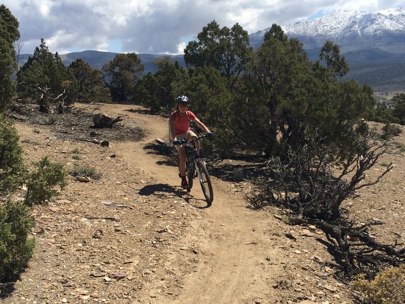 pontiac mountain bike trail