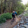 End of ride - just before the last creek crossing.