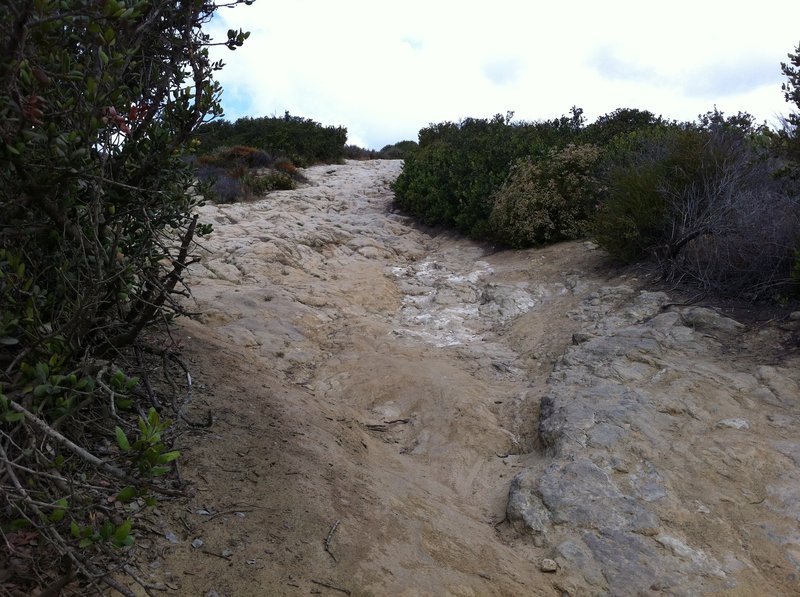 aliso creek bike trail