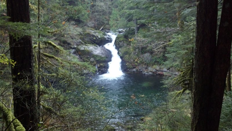 Falls on Siouxon Creek 