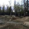 Waiting for the grass to green up at Palmer Bike Park - Spring 2015